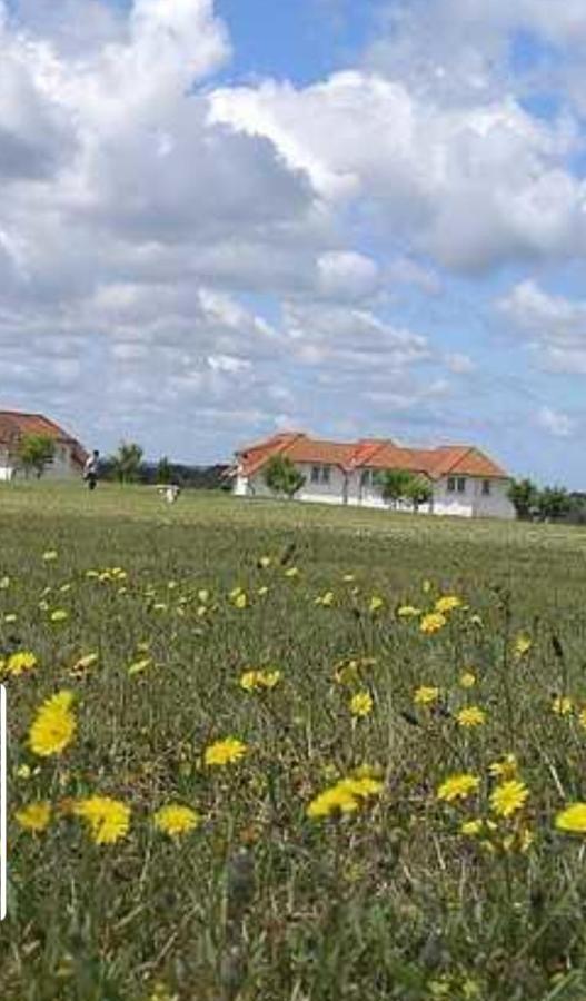 Ferienapartment Wiese & Meer Auf Ruegen Neddesitz Eksteriør billede