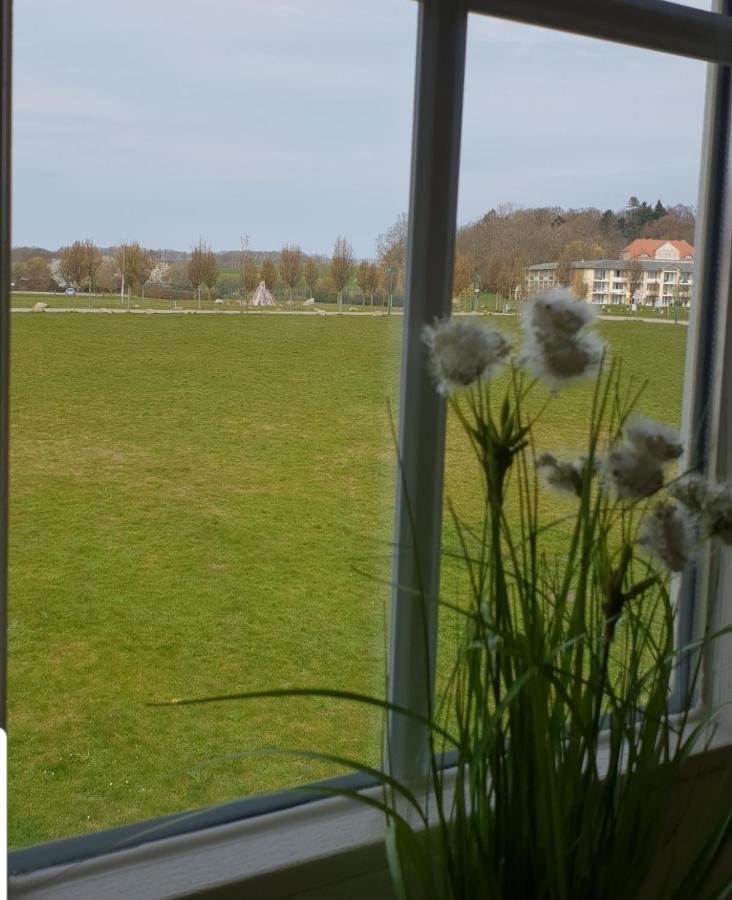 Ferienapartment Wiese & Meer Auf Ruegen Neddesitz Eksteriør billede